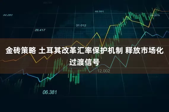 金砖策略 土耳其改革汇率保护机制 释放市场化过渡信号